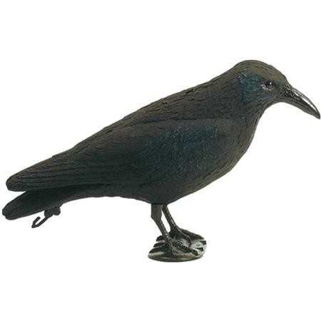 Caller Europ Arm Crow