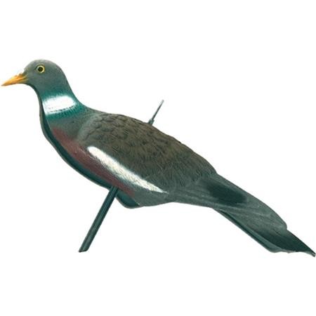 Caller Europ Arm English Pigeon