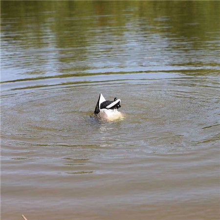 CALLER MOJO MACHINE - COLVERTS