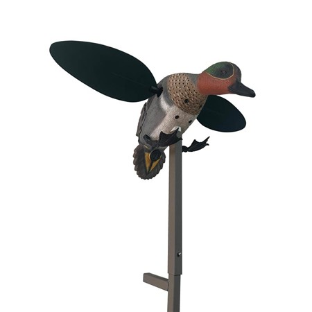 CALLER MOJO - SARCELLE D'HIVER