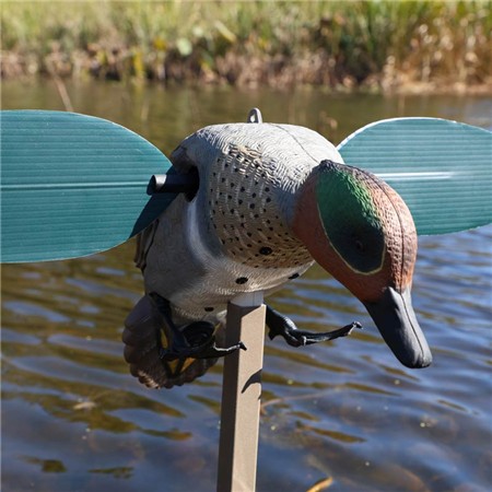 CALLER MOJO - SARCELLE D'HIVER