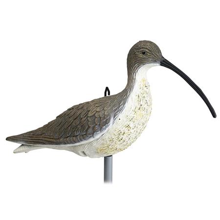 Caller Stepland Eurasian Curlew