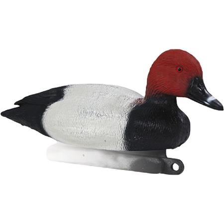 Caller Stepland Male Pochard