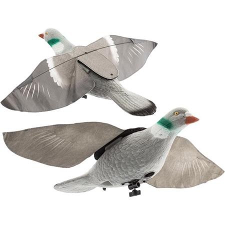 Calling Europ Arm Super Flap Pigeon
