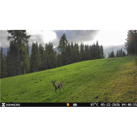 CAMÉRA DE CHASSE HIKMICRO T16