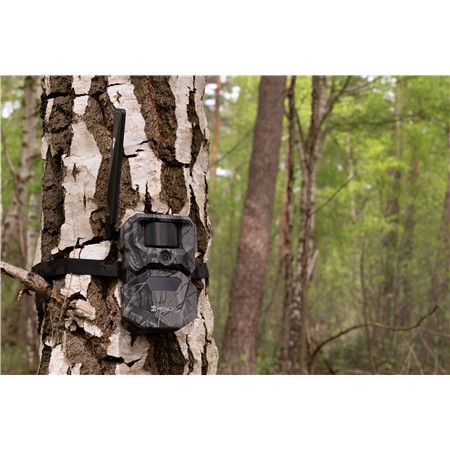 CAMÉRA DE CHASSE HIKMICRO T16