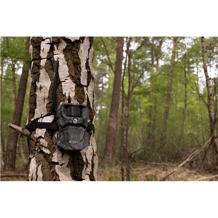 CAMÉRA DE CHASSE HIKMICRO T16