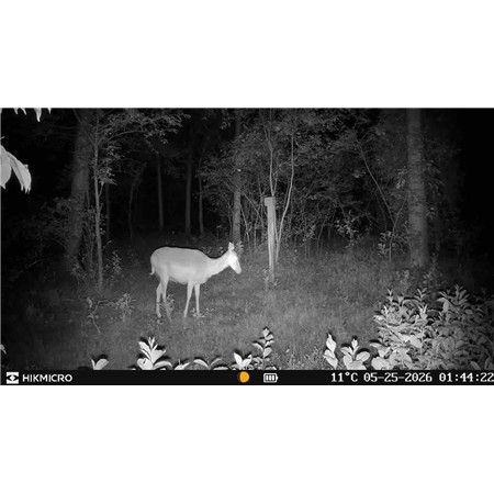 CAMÉRA DE CHASSE HIKMICRO T16