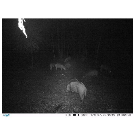 CAMÉRA DE CHASSE PNI 350C