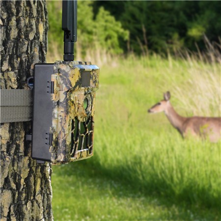 CAMÉRA DE CHASSE PNI 480C PRO