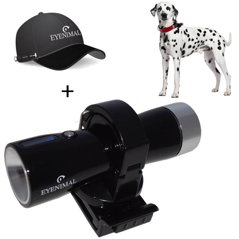 Une caméra embarquée pour chien ou chat