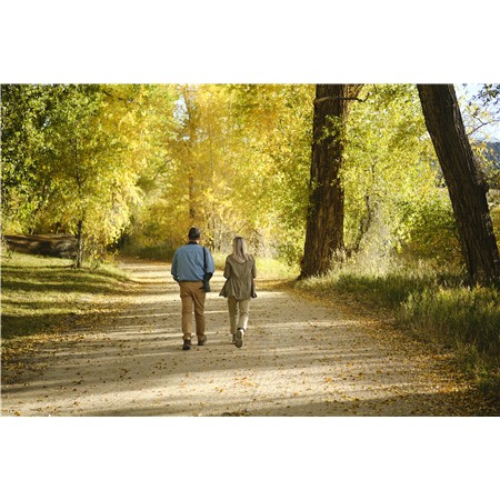 CANNOCCHIALE 18-45X65 SWAROVSKI AT BALANCE