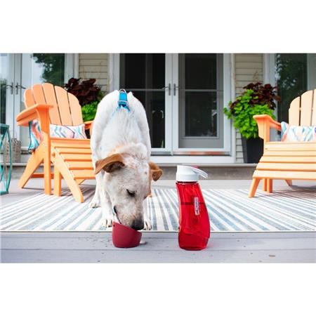 CANTIMPLORA KURGO AVEC BOL INTÉGRÉ