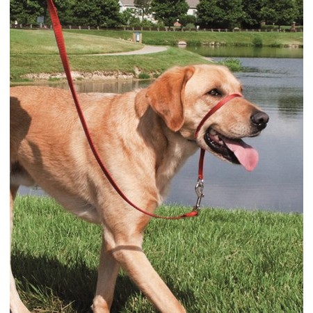 Cavezza Cane Premier Easy Walk