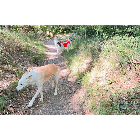 CHALECO DE INDICACIÓN CANIHUNT FLASH V3