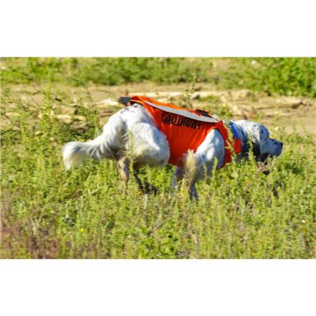 CHALECO DE INDICACIÓN CANIHUNT FLASH V3