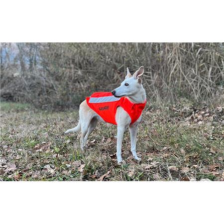 CHALECO DE INDICACIÓN CANIHUNT FLASH V3