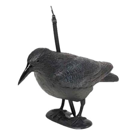 Chamador Fritzmann Corneille Peinte