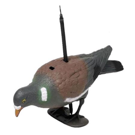 Chamador Fritzmann Pigeon Au Posé