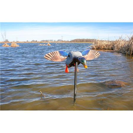 Chamador Mojo Elite Series Mini Canard Colvert