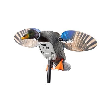 Chamador Mojo King Mallard Avec Batterie Lit-Ion