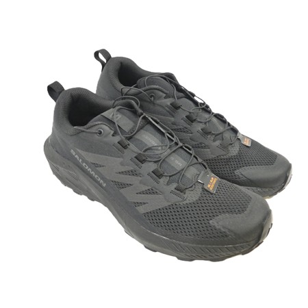 Chaussures Basses Homme Salomon Sense Ride 5 Sr - Noir - 43 1/3