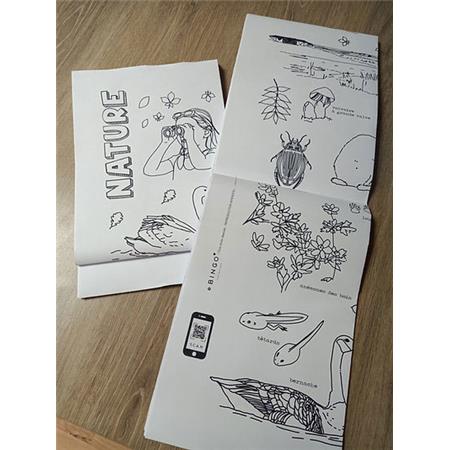 ΧΡΩΜΟΣΕΛΊΔΑ BINGO COLLECTION XXL NATURE