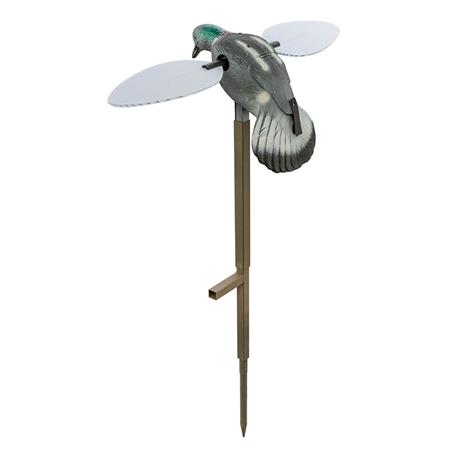 CIMBEL MOJO PIGEON À AILES TOURNANTES