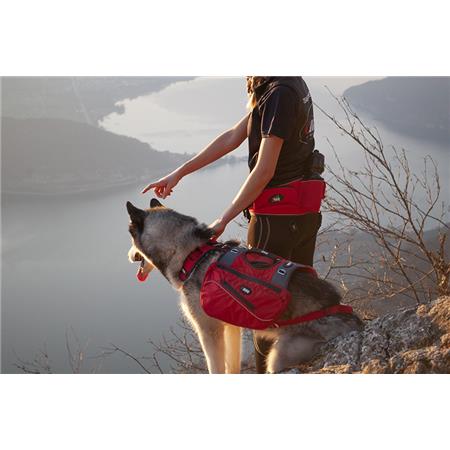 CINTURÃO DE PESCA I-DOG CONFORT TREK