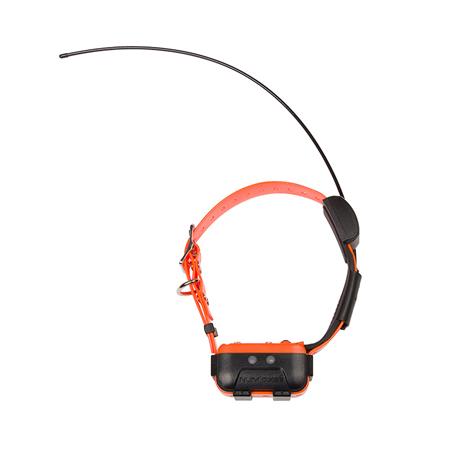 COLAR SUPLEMENTAR NUMAXES CANICOM GPS 2