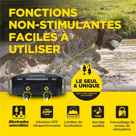 COLEIRA DE ADESTRAMENTO DOGTRA 1200X KIT 1 CHIEN