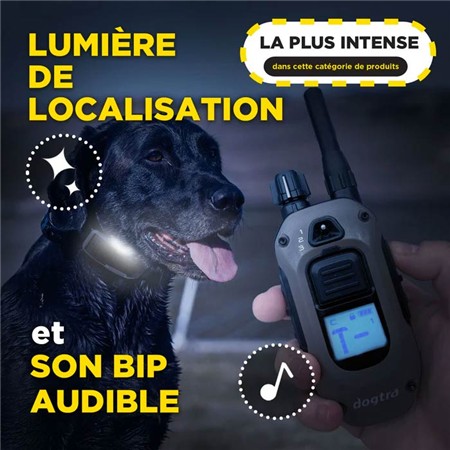 COLEIRA DE ADESTRAMENTO DOGTRA 1200X KIT 1 CHIEN