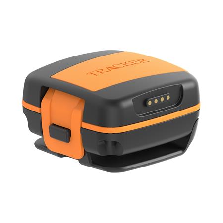 Coleira Gps Tracker Bark 4G Iot