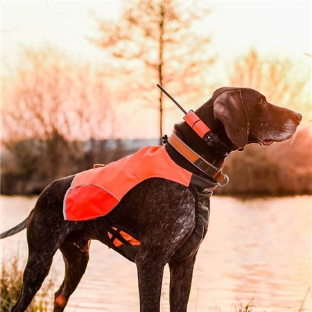 COLEIRA SUPLEMENTAR DE RASTREAMENTO DOG TRACE X25