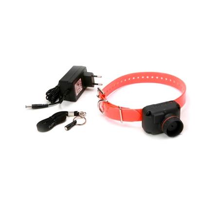 Colla Dogtra Stb Hawk-L (Son Faucon)