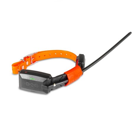 COLLAR DE ADIESTRAMIENTO DOG TRACE GPS X20 SHORT