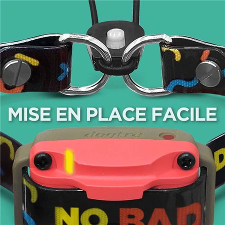 COLLAR DE ADIESTRAMIENTO DOGTRA 640C TOM DAVIS EDITION