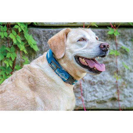 COLLAR KURGO RSG