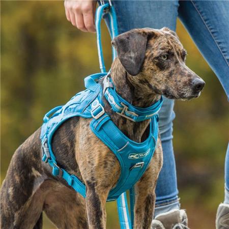 COLLAR KURGO RSG