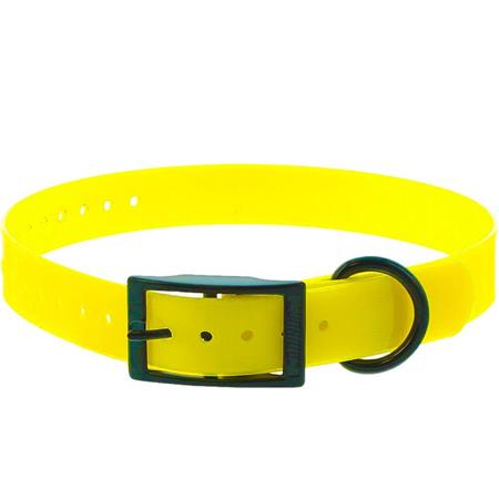 COLLARE CANE CANIHUNT XTREME POLIUREANO DOPPIA FIBBIA