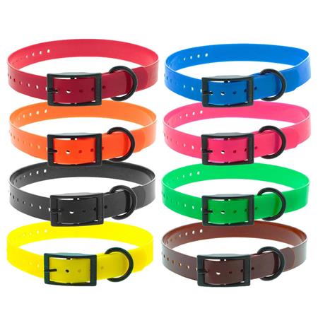 Collare Cane Canihunt Xtreme Poliureano Doppia Fibbia