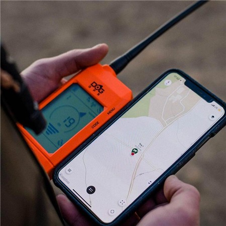 COLLARE DA ADDESTRAMENTO DOG TRACE GPS X30