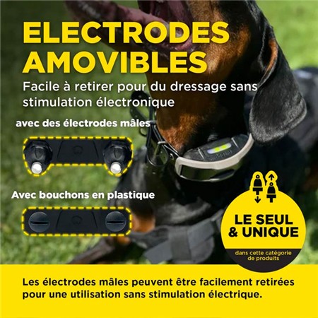 COLLARE DA ADDESTRAMENTO DOGTRA 1200X KIT 2 CHIENS