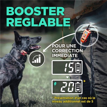 COLLARE DA ADDESTRAMENTO DOGTRA 640C TOM DAVIS EDITION