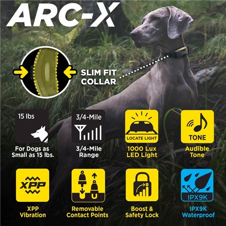 COLLARE DA ADDESTRAMENTO DOGTRA ARC-X KIT 2 CHIENS