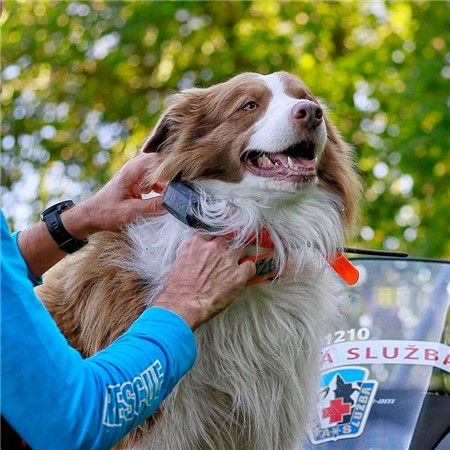 COLLARE DI LOCALIZZAZIONE AGGIUNTIVO DOG TRACE X30