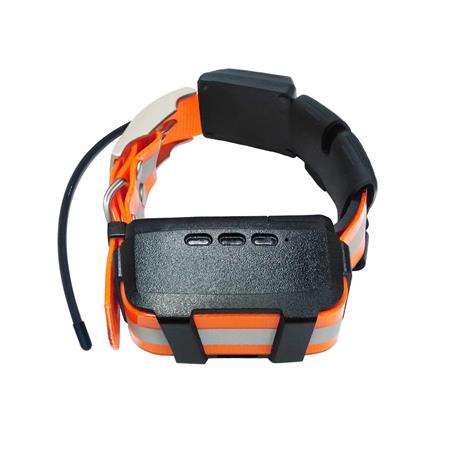 COLLARE DI LOCALIZZAZIONE ROG MINI SPEEDER GPSM