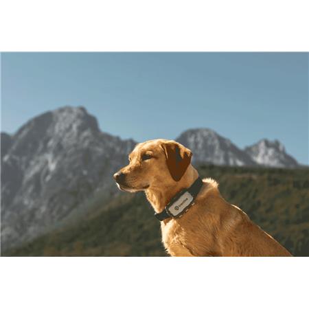 Collare Di Localizzazione Tractive Dog Xl Edition Aventure