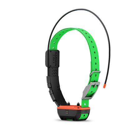 COLLARE GARMIN SUPPLEMENTO PER RILEVAMENTO E ADDESTRAMENTO TT25 F