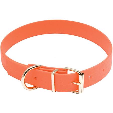 Collare Per Cane Country Biothane